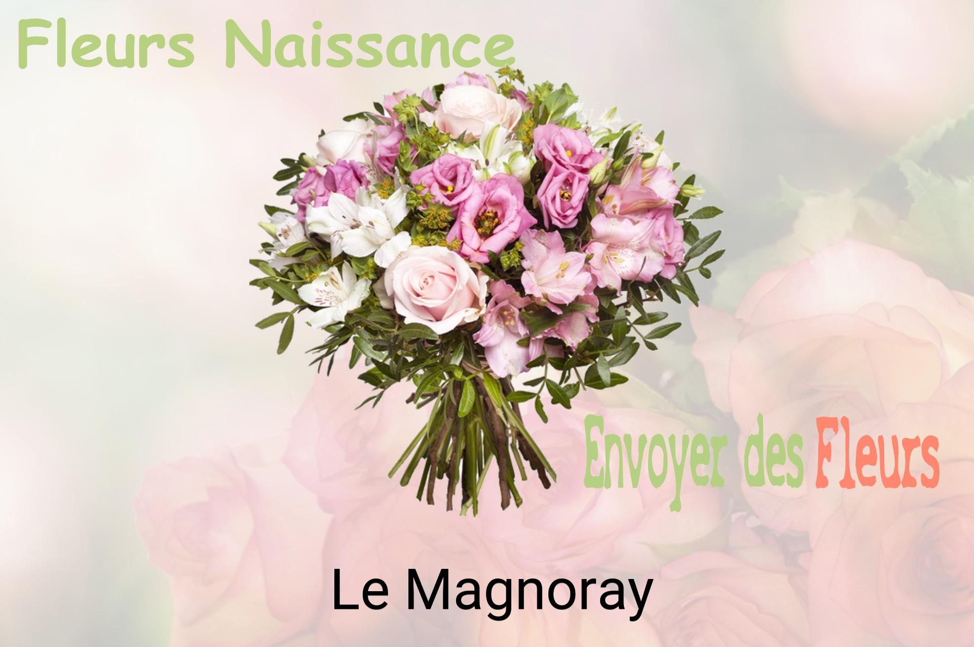 Bouquet de fleurs de naissance livré à Le Magnoray