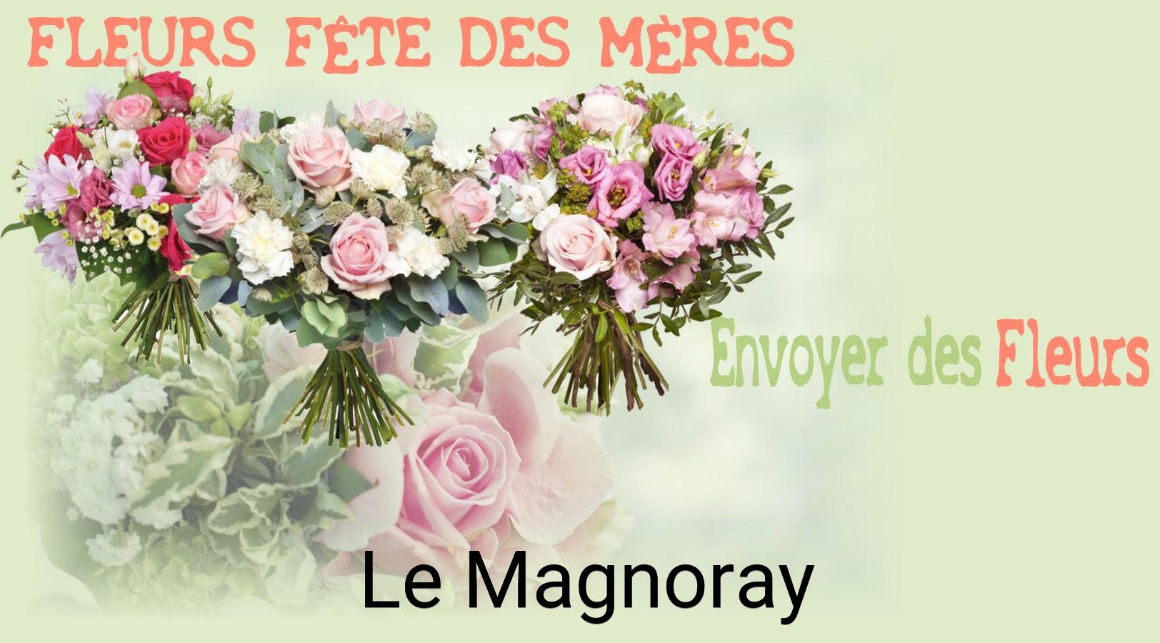 Bouquet de Fête des Mères livré à Le Magnoray